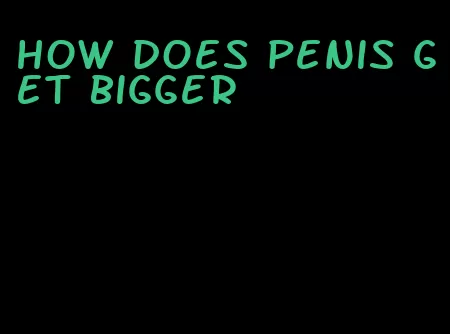 how does penis get bigger