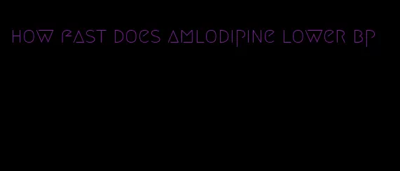 how fast does amlodipine lower bp