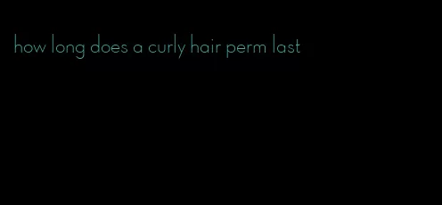 how long does a curly hair perm last