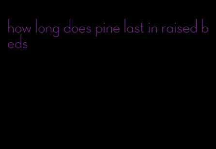 how long does pine last in raised beds