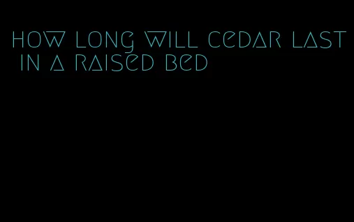 how long will cedar last in a raised bed