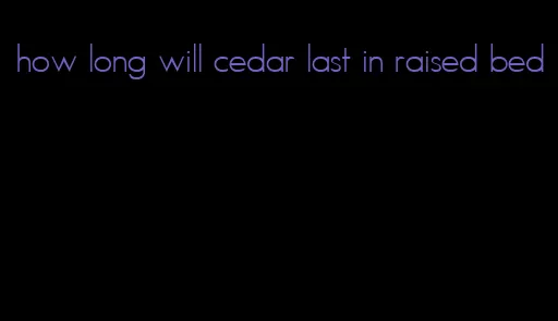 how long will cedar last in raised bed