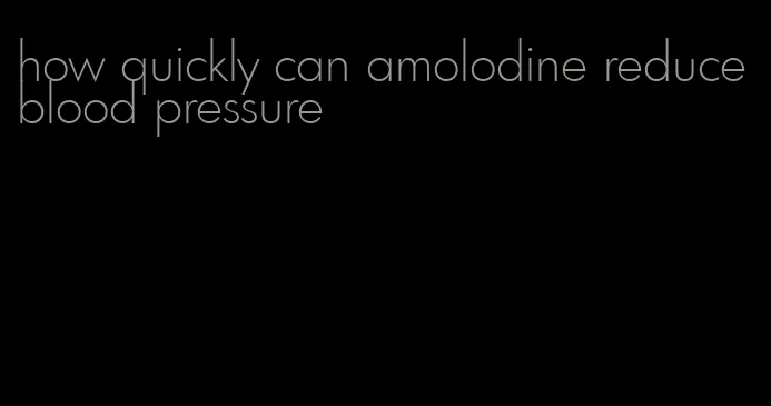 how quickly can amolodine reduce blood pressure