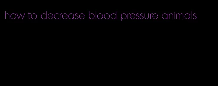how to decrease blood pressure animals
