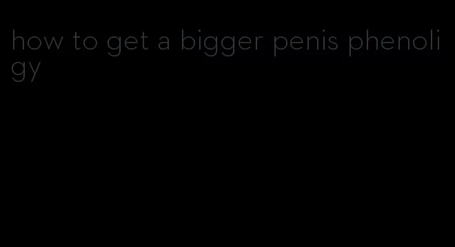 how to get a bigger penis phenoligy