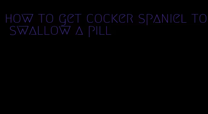 how to get cocker spaniel to swallow a pill