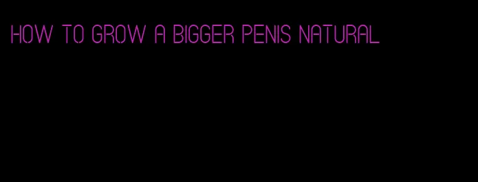 how to grow a bigger penis natural