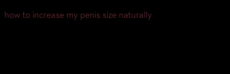 how to increase my penis size naturally