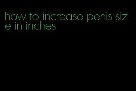 how to increase penis size in inches