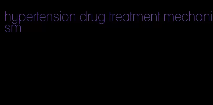 hypertension drug treatment mechanism
