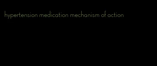hypertension medication mechanism of action