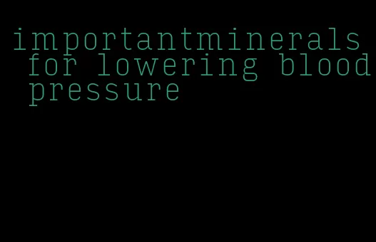 importantminerals for lowering blood pressure