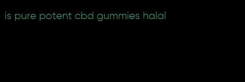 is pure potent cbd gummies halal