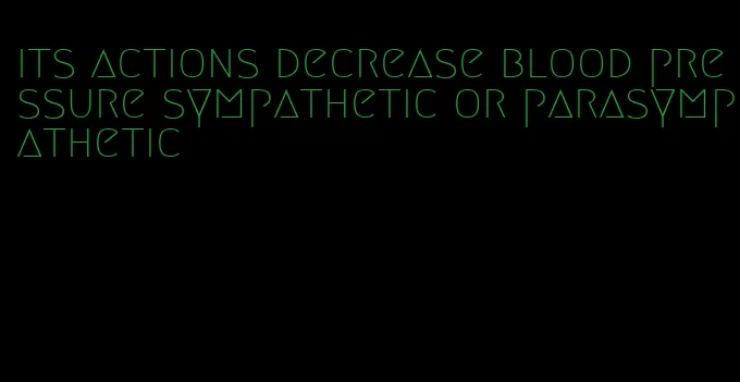 its actions decrease blood pressure sympathetic or parasympathetic