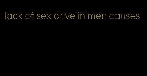 lack of sex drive in men causes