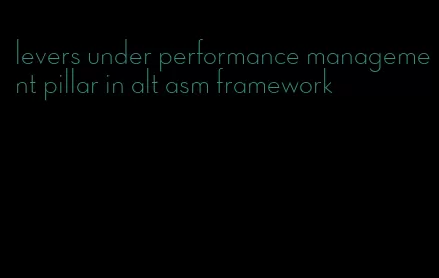 levers under performance management pillar in alt asm framework