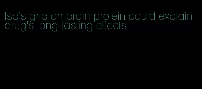 lsd's grip on brain protein could explain drug's long-lasting effects