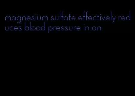 magnesium sulfate effectively reduces blood pressure in an