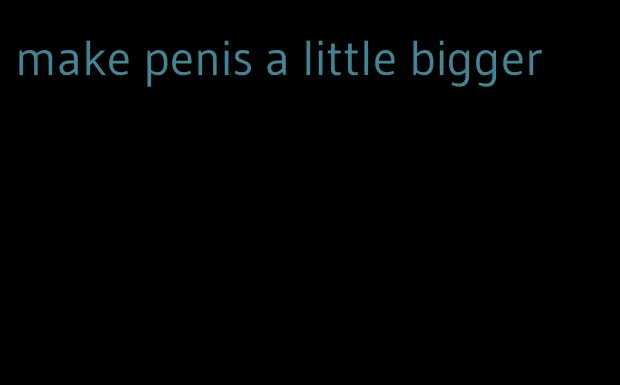 make penis a little bigger
