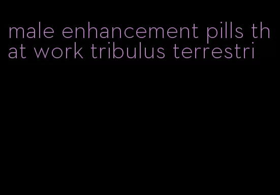 male enhancement pills that work tribulus terrestri