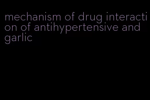 mechanism of drug interaction of antihypertensive and garlic