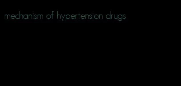 mechanism of hypertension drugs