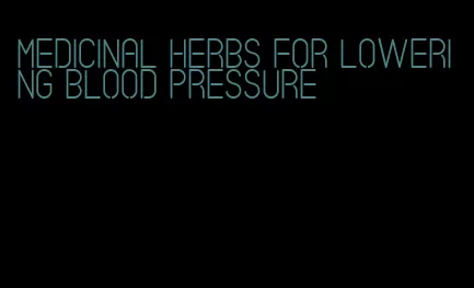 medicinal herbs for lowering blood pressure