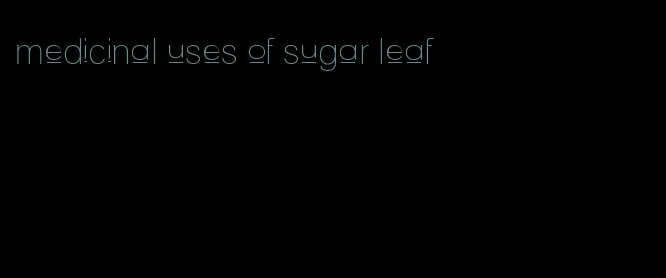 medicinal uses of sugar leaf