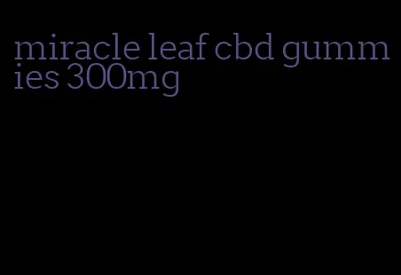 miracle leaf cbd gummies 300mg