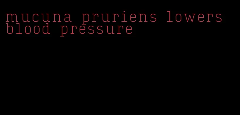 mucuna pruriens lowers blood pressure