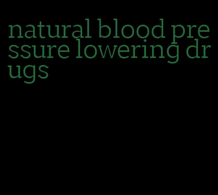 natural blood pressure lowering drugs