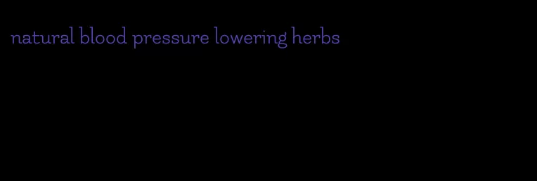 natural blood pressure lowering herbs