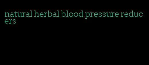 natural herbal blood pressure reducers
