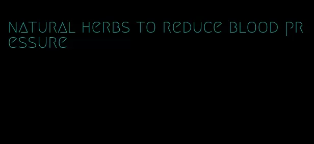 natural herbs to reduce blood pressure
