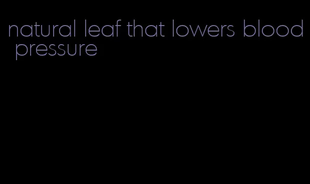 natural leaf that lowers blood pressure