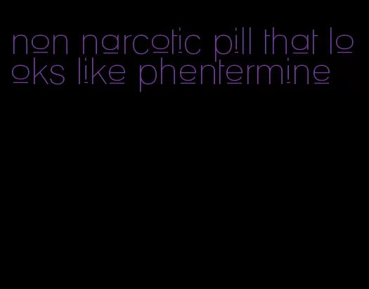 non narcotic pill that looks like phentermine