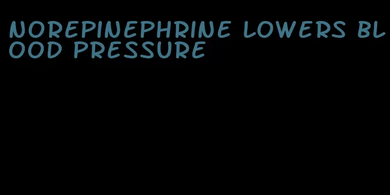 norepinephrine lowers blood pressure