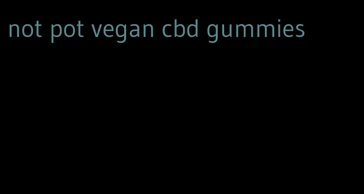not pot vegan cbd gummies