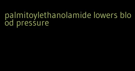 palmitoylethanolamide lowers blood pressure