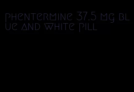 phentermine 37.5 mg blue and white pill