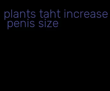 plants taht increase penis size