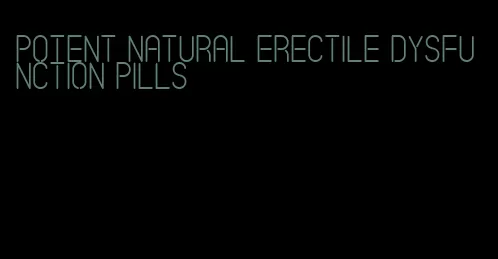 potent natural erectile dysfunction pills