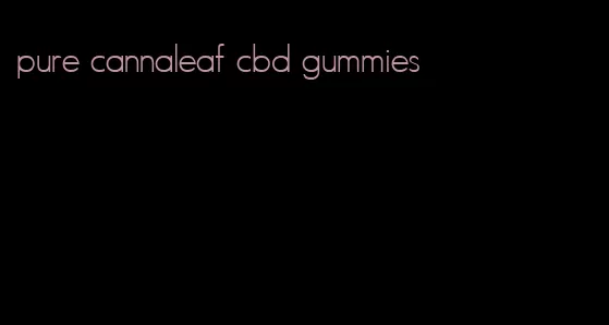 pure cannaleaf cbd gummies