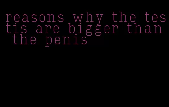 reasons why the testis are bigger than the penis