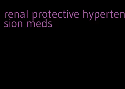 renal protective hypertension meds