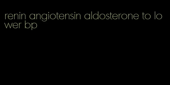 renin angiotensin aldosterone to lower bp