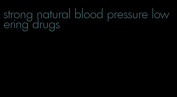 strong natural blood pressure lowering drugs