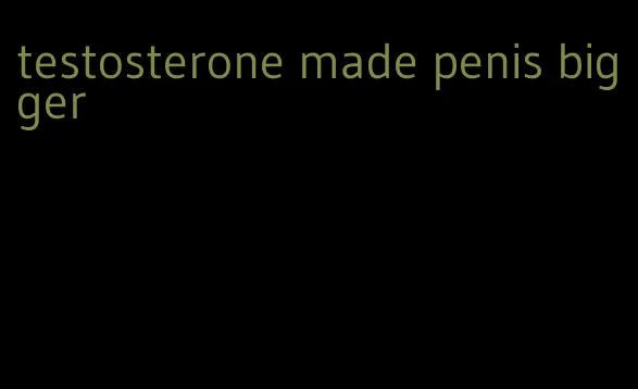 testosterone made penis bigger