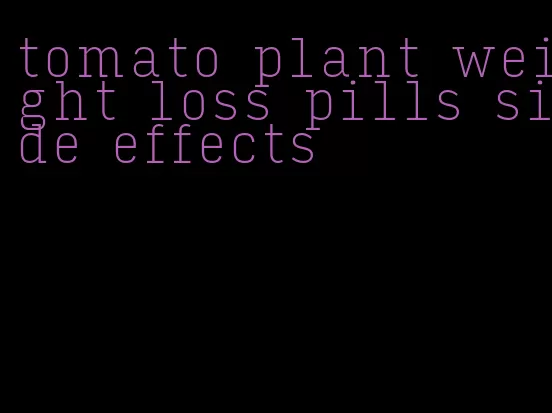 tomato plant weight loss pills side effects