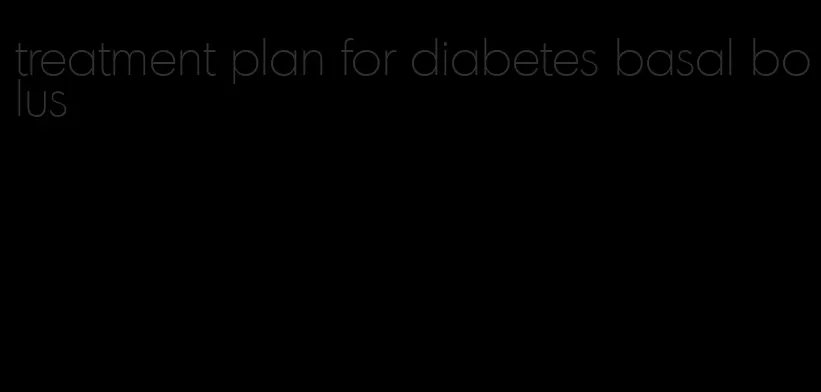 treatment plan for diabetes basal bolus